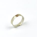Disk Ring