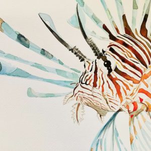 Watercolour Lionfish Eco Art Print