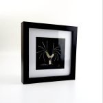 Ileana Rozitis Silversmith Artisan Fremantle Western Australia