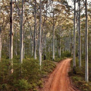 Julie Kenny Photography Western Australia