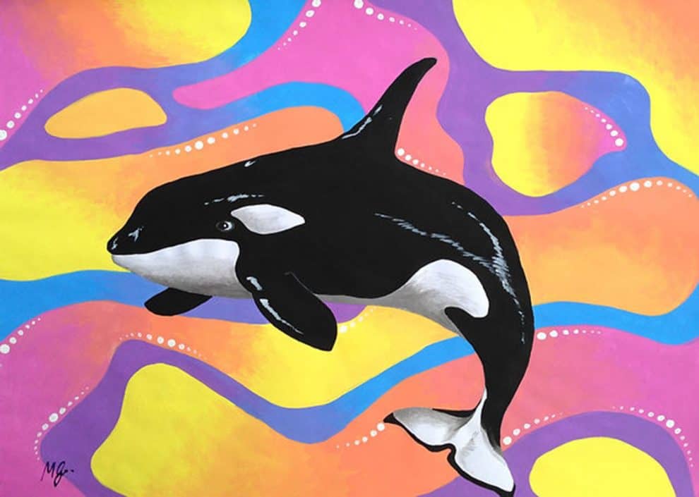 Keely the Orca Mallee Grosse Perth Western Australian Artist
