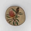 Banksia