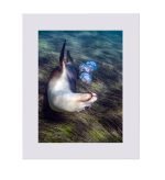 Bubblemaker Limited Edition Art Print