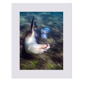 Bubblemaker Limited Edition Art Print