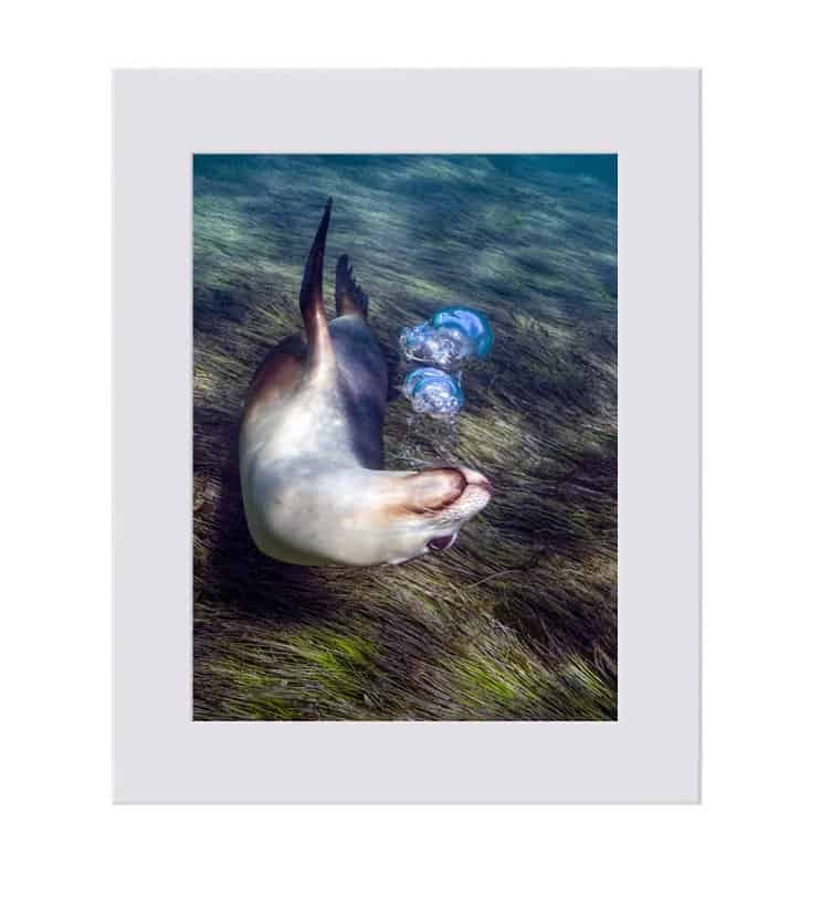 Bubblemaker Limited Edition Print