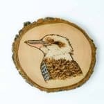 kookaburra Wooden coasters -3 a slice of timber that retains its natural edge and has a pyro image of a kookaburra that has been colored on the face