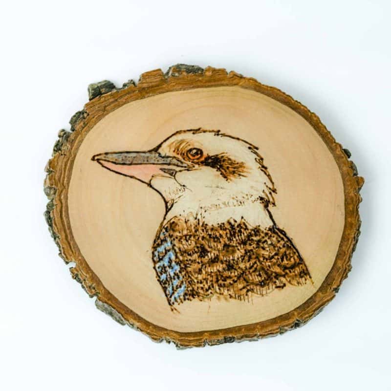 a slice of timber that retains its natural edge and has a pyro image of a kookaburra that has been colored on the face
