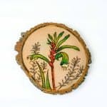 kangaroopaw Wooden coasters -1 a slice of a tree branch that retains its natural edge with a pyro image of a kangaroo paw that has been colored red and green