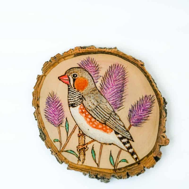 a slice of a branch that retains its natural edge with the pyro image of a spotted pardalote that has been colored