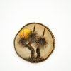 Grass tree