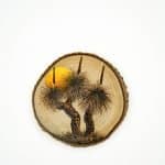 Timber Coasters Fauna and Flora Pyrography (3)