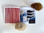 Whale Song Book 3