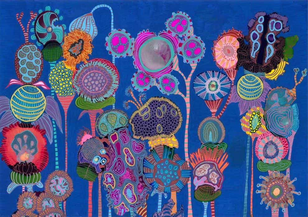 Freedom Art Print Tracy Robinson Fremantle Artist Artlovers