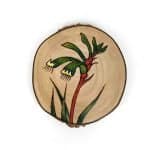 kangaroo paw coaster Dallas Pegrum Western Australian Artist