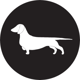 Sausage Dog Adventures Rachel Cleybergh