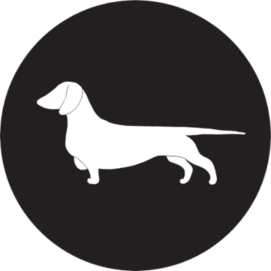 Sausage Dog Adventures Rachel Cleybergh