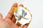 Annette Line-Ellis oyster shells decoupage 2 Annette Line Ellis WA artist