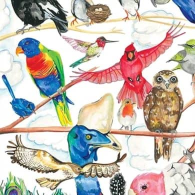 Liana Berry Art Wildlife Illustrator WA artist