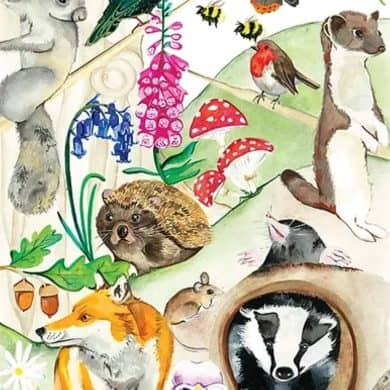 Liana Berry Art Wildlife Illustrator WA artist