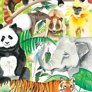 Liana Berry Art Wildlife Illustrator WA artist