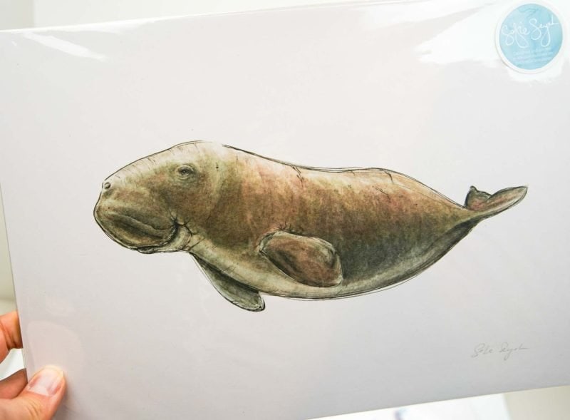 Manatee Print Manatee Sofie Seyah