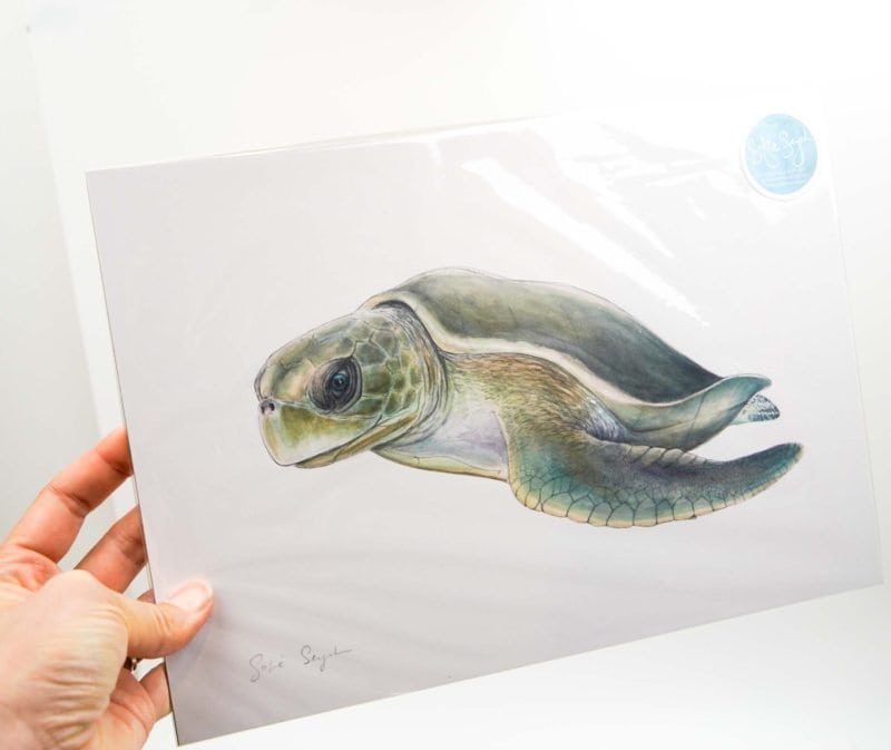Turtle Print Turtle Sofie Seyah