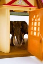 Elephant in the room