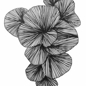 Sea Flange Anne Gee fremantle Artist