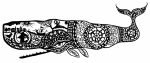 whale song for shopping Whale Song Anne Gee fremantle Artist