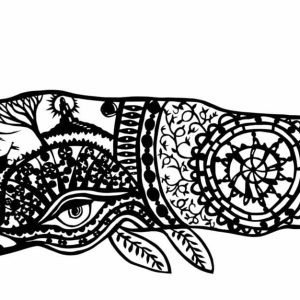 Whale Song Anne Gee fremantle Artist