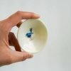 Blue Wren