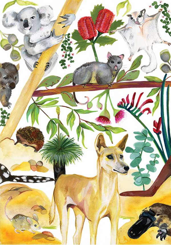 liana berry_Australian Liana Berry Art Fremantle Western Australia