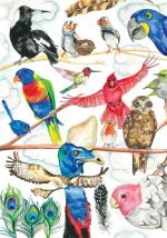 Liana Berry Art Fremantle Western Australia