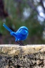 Blue Wren Crochettiky (3)