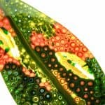 fantasy-leaves-made-with-glass (7)