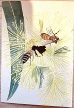 Kirsty Griffiths Western Australian Artist
