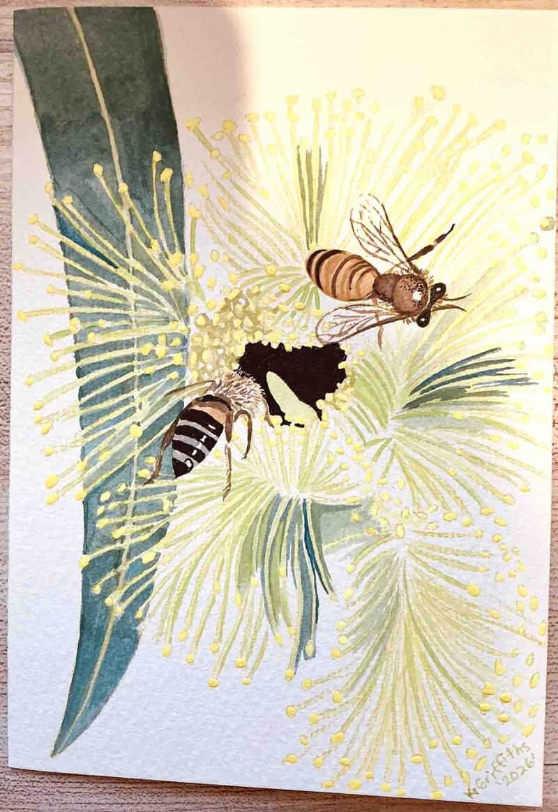 Kirsty Griffiths Western Australian Artist