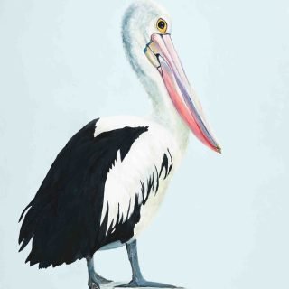 Sue Churack Western Australian Artist