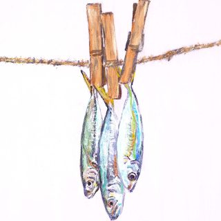 Sue Churack Western Australian Artist