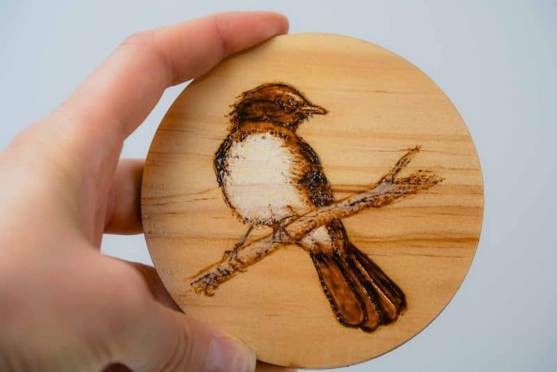 Dallas Pegrum Coaster