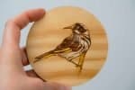 Dallas Pegrum Coaster