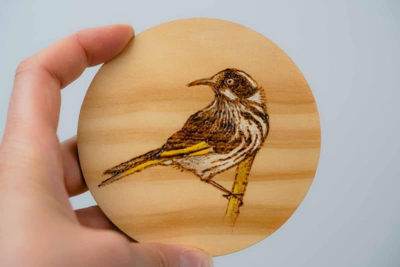Dallas Pegrum Coaster
