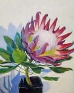 King Protea Original Artwork by Christine LeFaucheur Oil on canvas, unframed. 40 cm x 70 cm x 4 cm. This oil painting is on stretched canvas and is wired at the back and ready to hang as is or equally can be framed by the buyer if that is preferred.