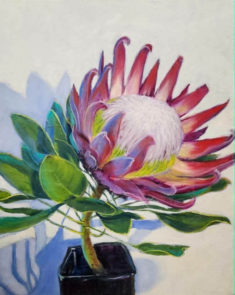 King Protea Original Artwork King Protea Original Artwork by Christine LeFaucheur Oil on canvas, unframed. 40 cm x 70 cm x 4 cm. This oil painting is on stretched canvas and is wired at the back and ready to hang as is or equally can be framed by the buyer if that is preferred.