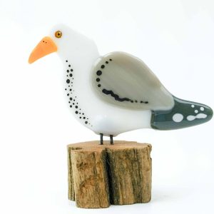 Glass half full seagull. Locally made Western Australian artist.