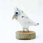 Glass Half Full- Balck Eyed Corelle2 Glass half Full. Blue-eyed Corella.