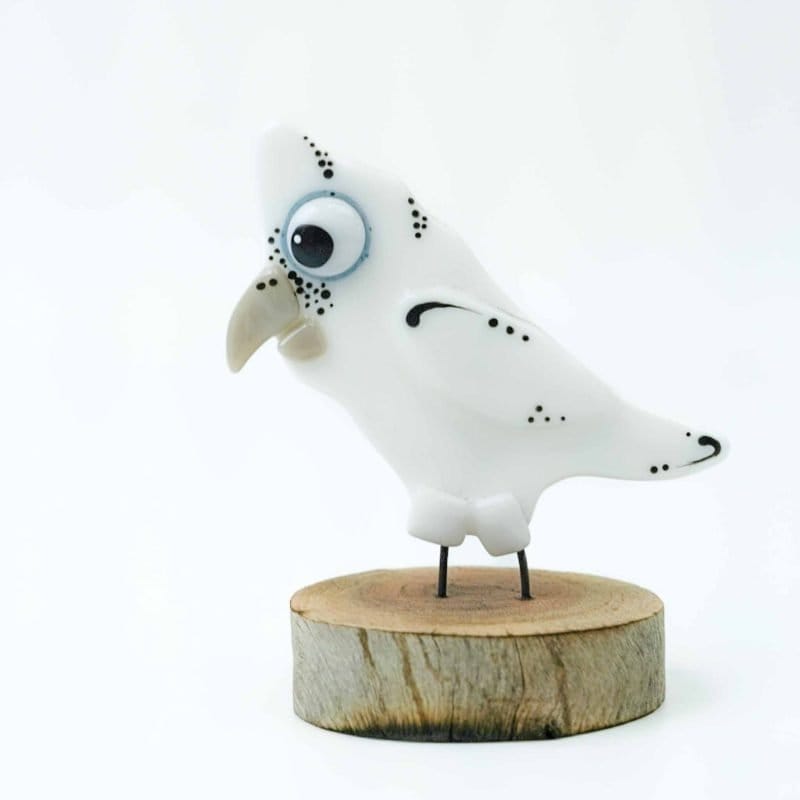Glass half Full. Blue-eyed Corella.