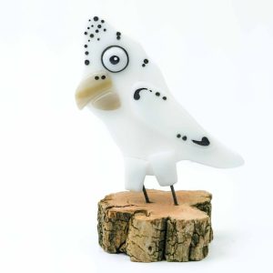 Black Eyed Corella. Glass half full.
