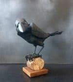 Raven 2 Limited Edition Figurative Sculpture