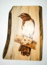 A Willie Wagtail bird is burned into a light piece of timber.